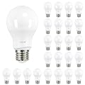 A19 Led Light Bulbs